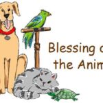 blessing animals